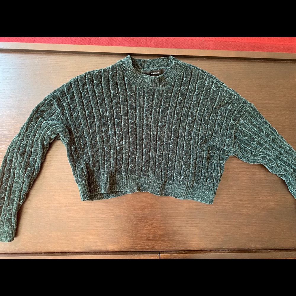 Forever 21 Velvet Knit Cropped Sweater